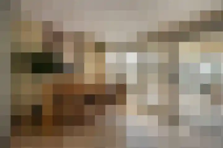 James Ensorlaan 1 Helmond thumbnail 22