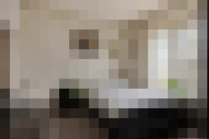 James Ensorlaan 1 Helmond thumbnail 32