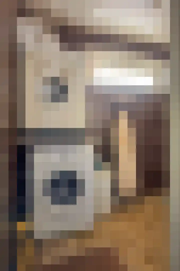 James Ensorlaan 1 Helmond thumbnail 34