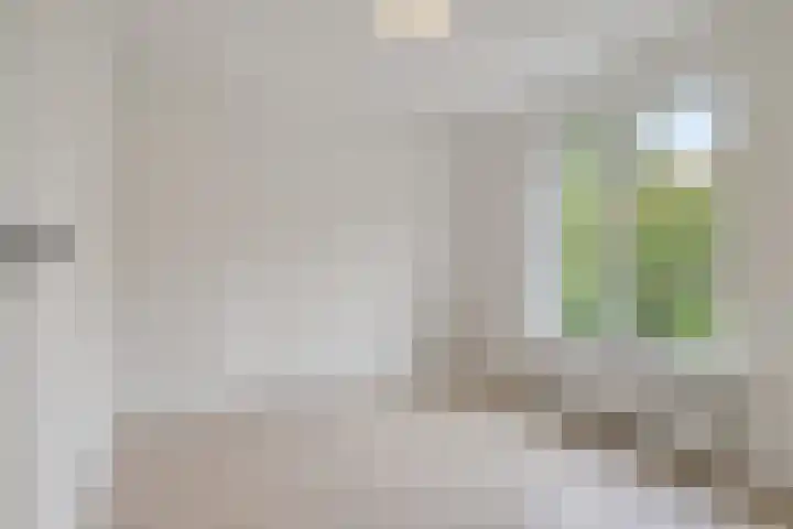 James Ensorlaan 5 Helmond thumbnail 22