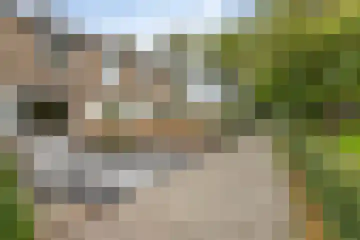 James Ensorlaan 5 Helmond thumbnail 32