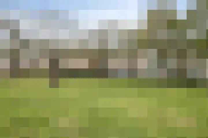 James Ensorlaan 5 Helmond thumbnail 34