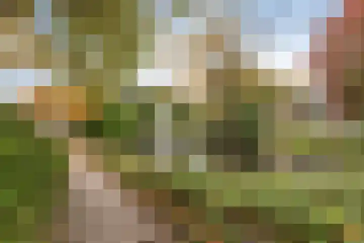 James Ensorlaan 5 Helmond thumbnail 35