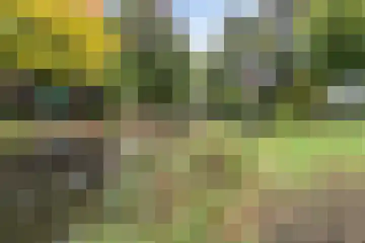 James Ensorlaan 5 Helmond thumbnail 36