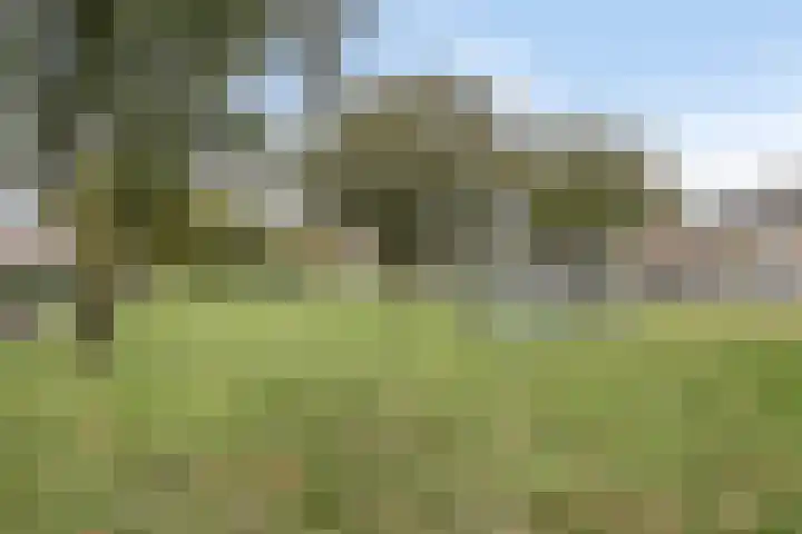James Ensorlaan 5 Helmond thumbnail 37