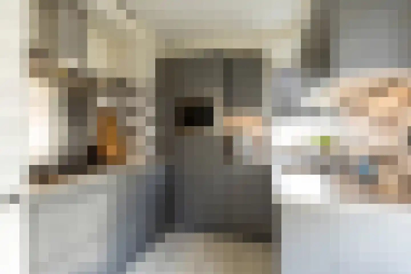 James Grieve 13 Tiel thumbnail 17