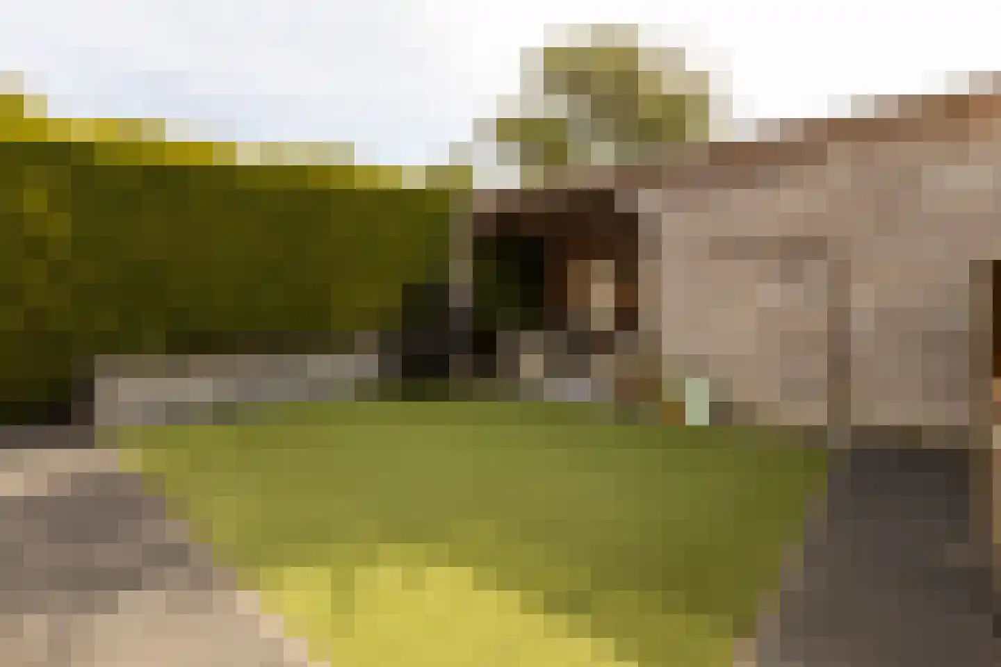 James Grieve 13 Tiel thumbnail 38