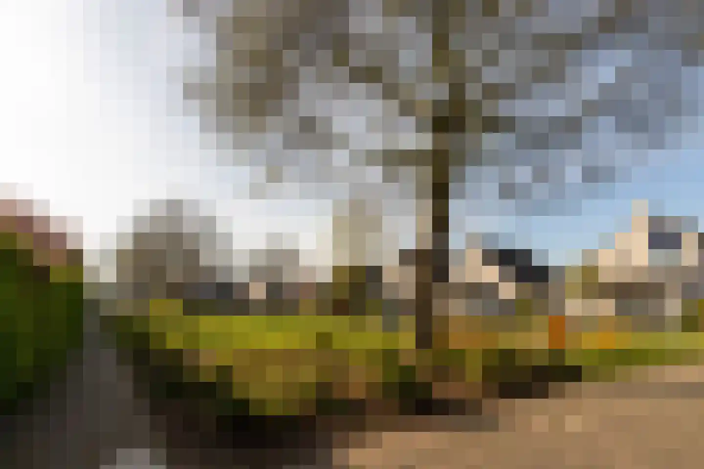 James Grieve 13 Tiel thumbnail 4