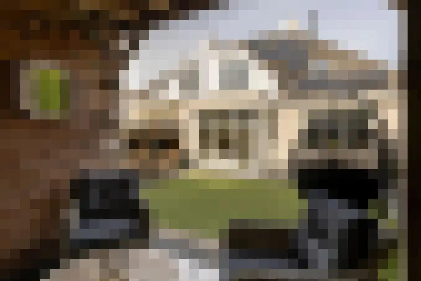 James Grieve 13 Tiel thumbnail 40