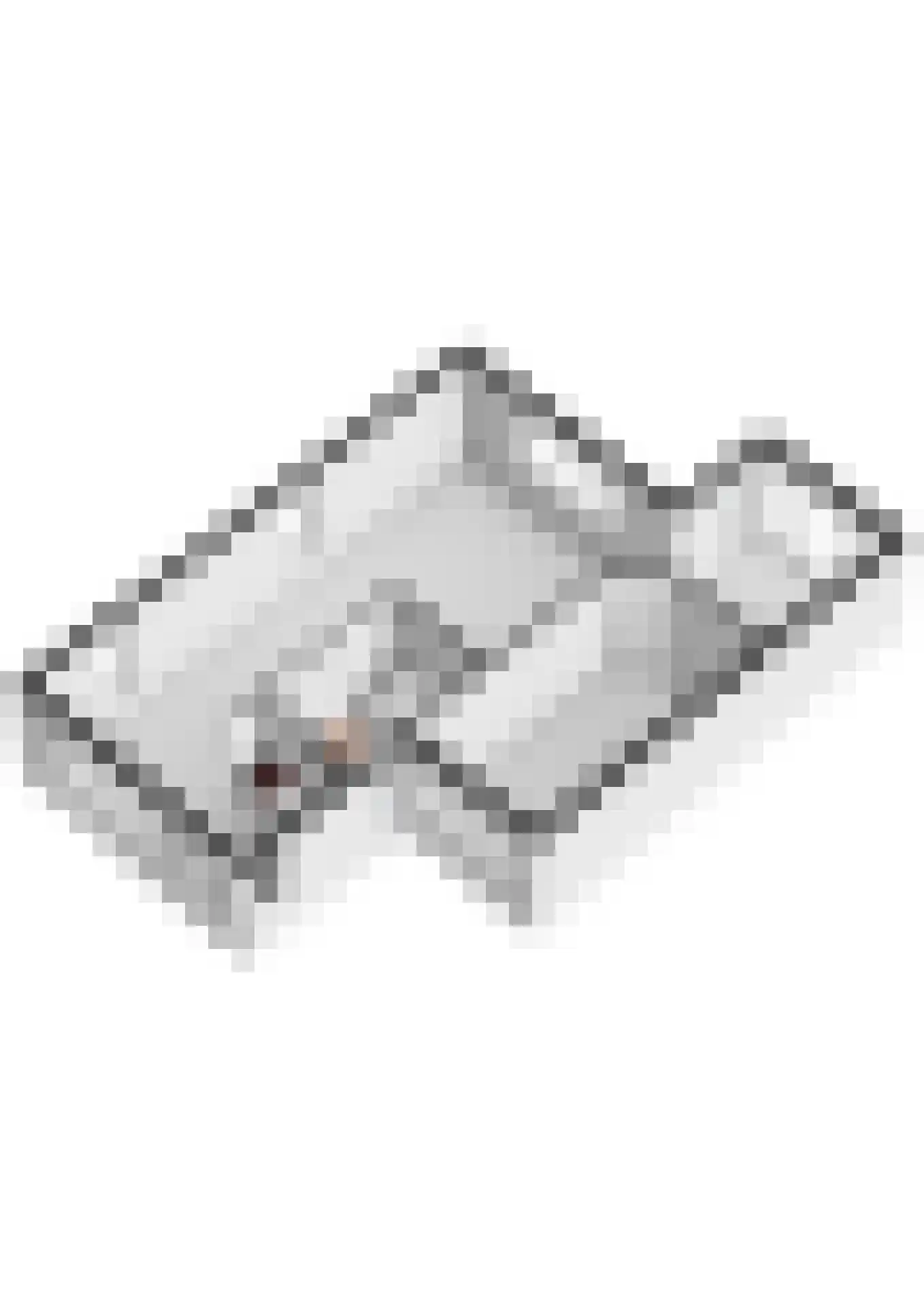 James Grieve 13 Tiel thumbnail 64