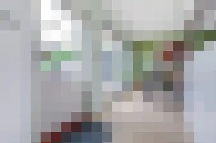 James Grieve 32 Tiel thumbnail 11