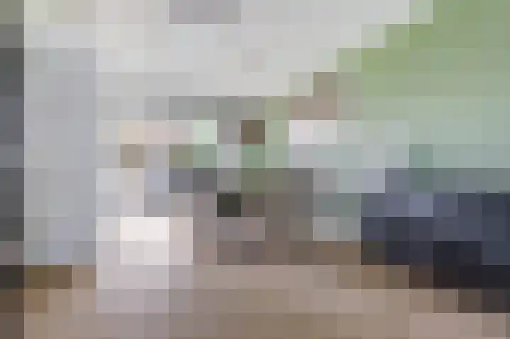 James Grieve 32 Tiel thumbnail 12