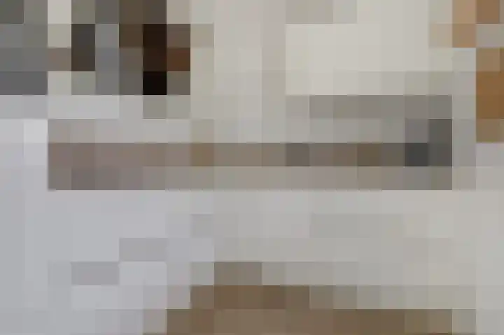 James Grieve 32 Tiel thumbnail 13