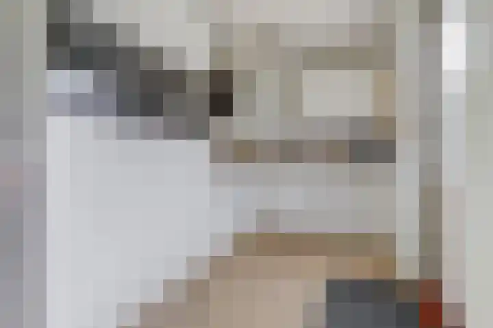 James Grieve 32 Tiel thumbnail 14