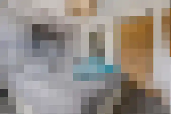 James Grieve 32 Tiel thumbnail 17