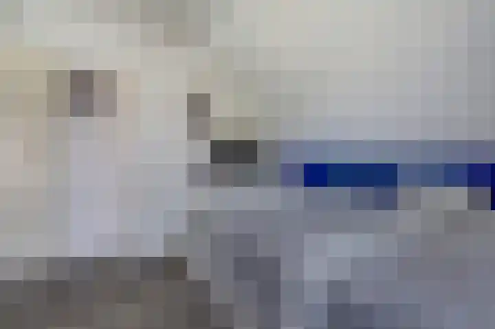 James Grieve 32 Tiel thumbnail 22