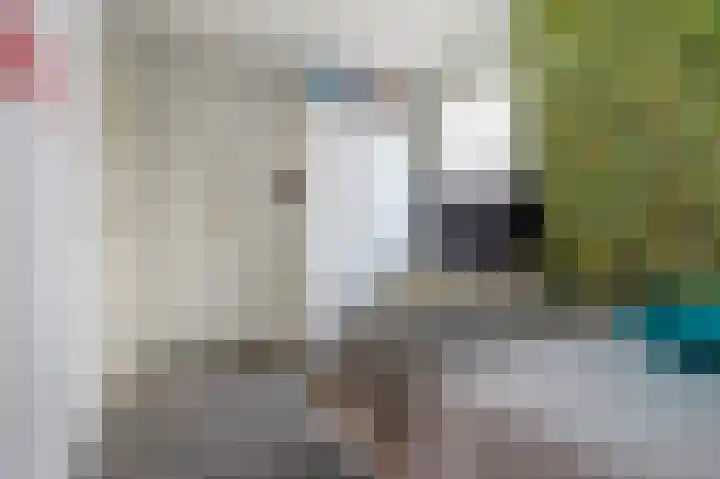 James Grieve 32 Tiel thumbnail 29