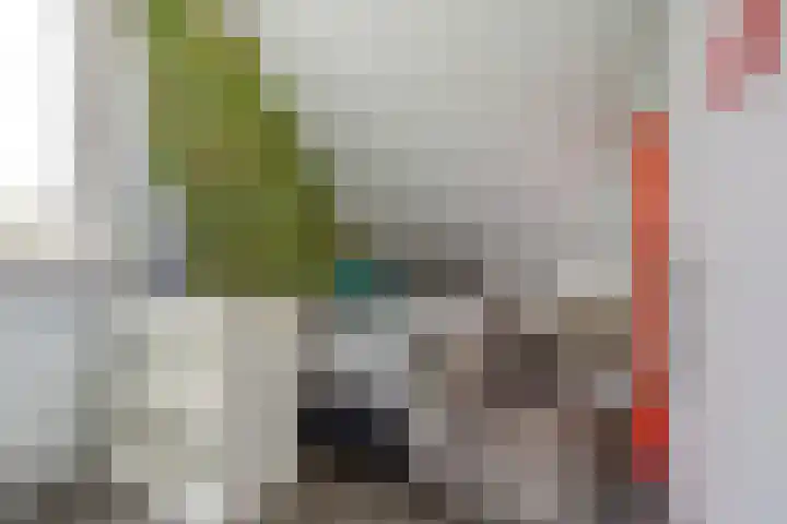 James Grieve 32 Tiel thumbnail 30