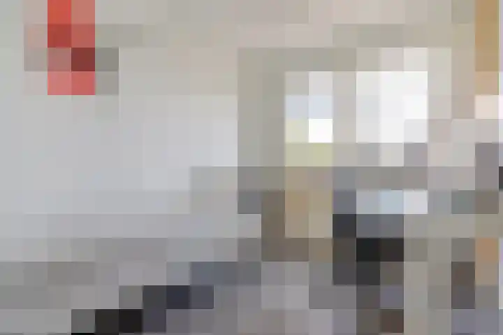 James Grieve 32 Tiel thumbnail 32