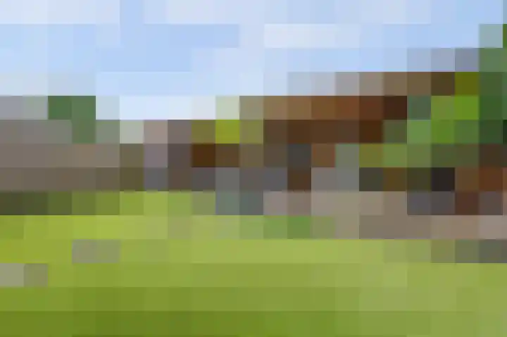 James Grieve 32 Tiel thumbnail 33