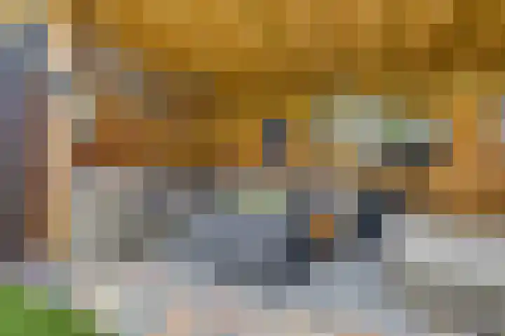 James Grieve 32 Tiel thumbnail 37