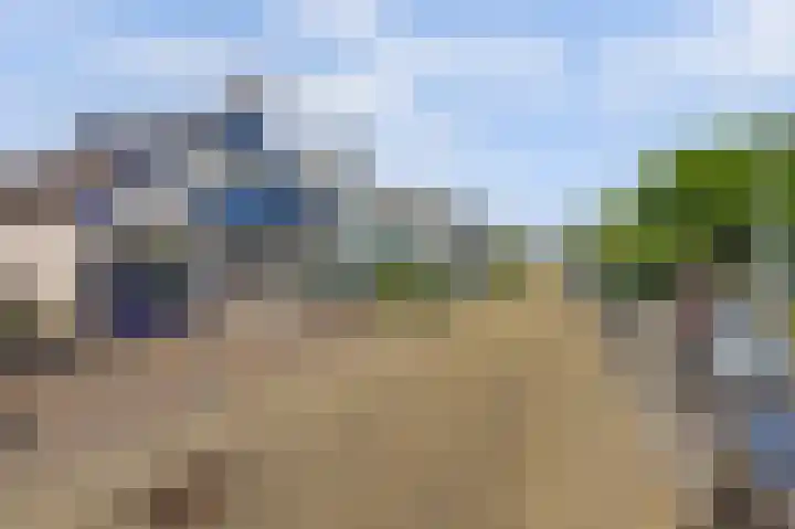 James Grieve 32 Tiel thumbnail 41
