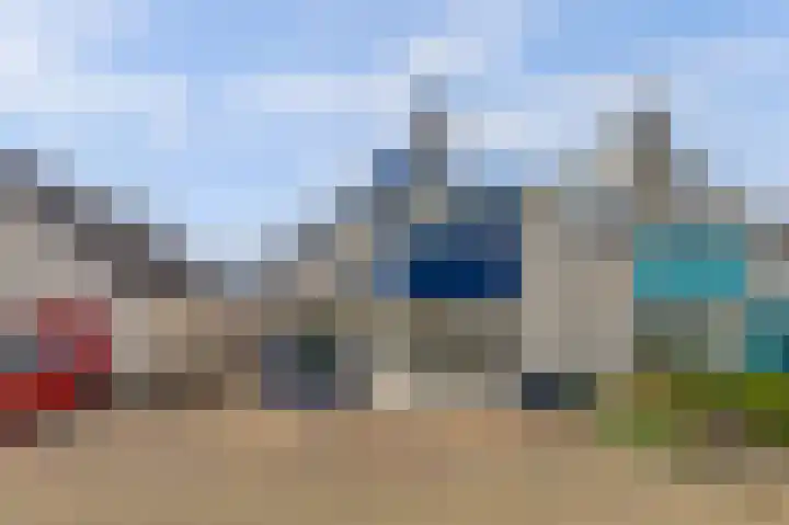 James Grieve 32 Tiel thumbnail 42
