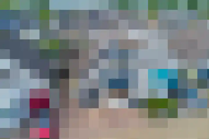James Grieve 32 Tiel thumbnail 43