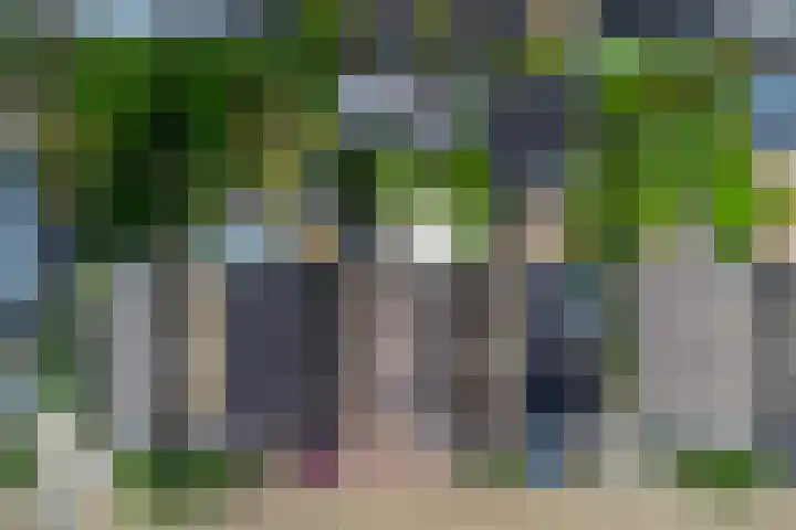 James Grieve 32 Tiel thumbnail 44