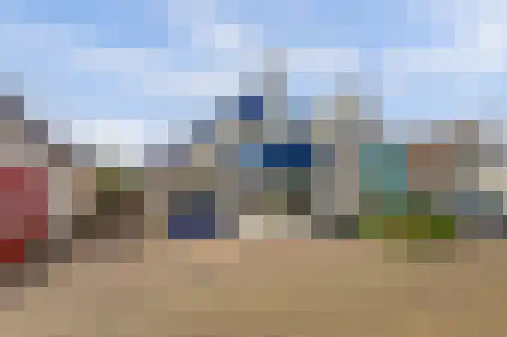 James Grieve 32 Tiel thumbnail 45