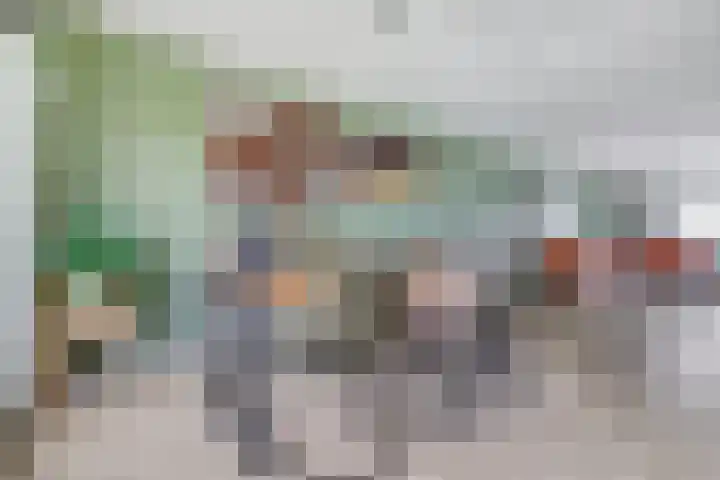 James Grieve 32 Tiel thumbnail 9