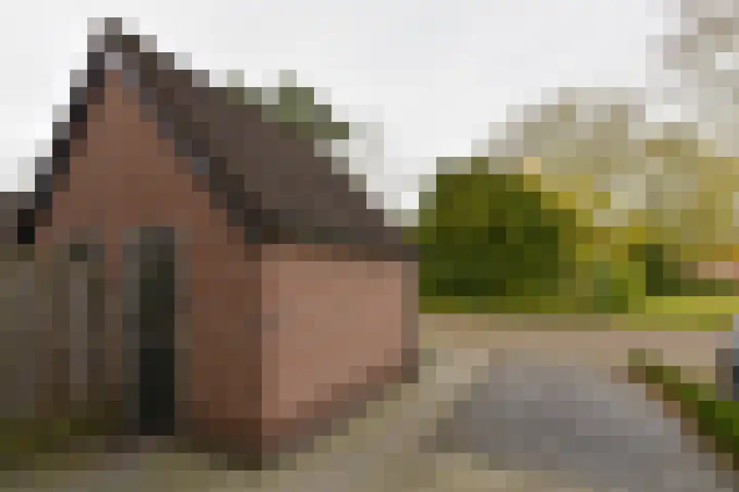 James Grievelaan 39 Blokker thumbnail 26