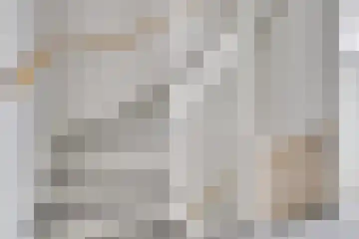 James Johnsonstraat 5 Utrecht thumbnail 27
