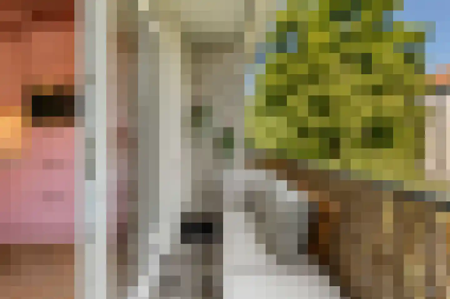 James Rosskade 10 1 Amsterdam thumbnail 8