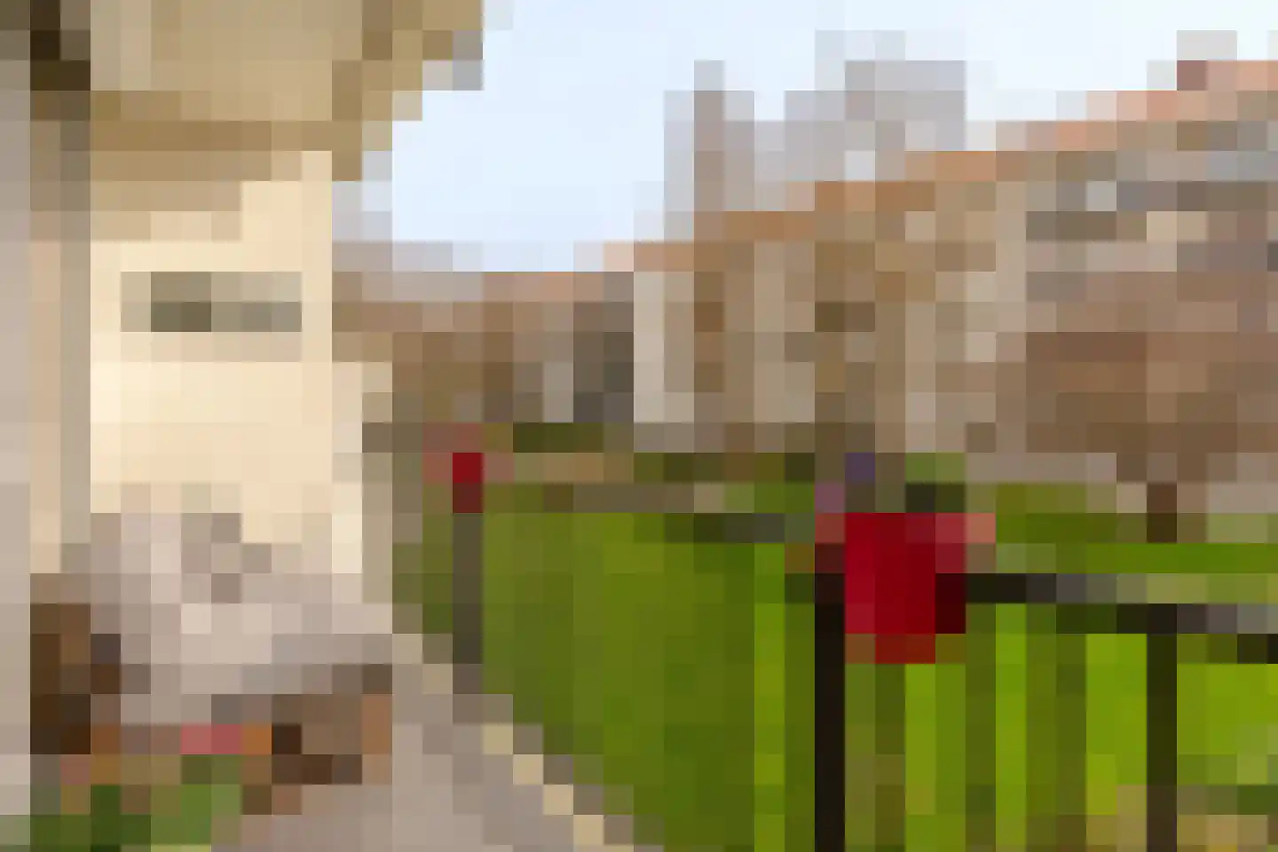 James Rosskade 2 1 Amsterdam thumbnail 15