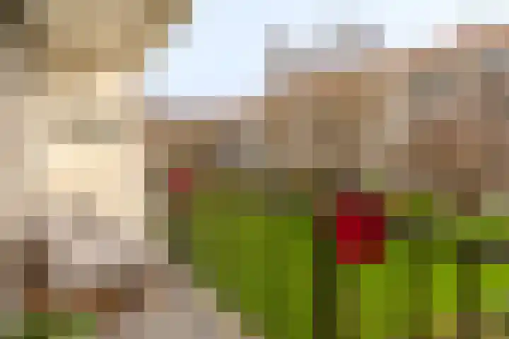 James Rosskade 2 H Amsterdam thumbnail 15