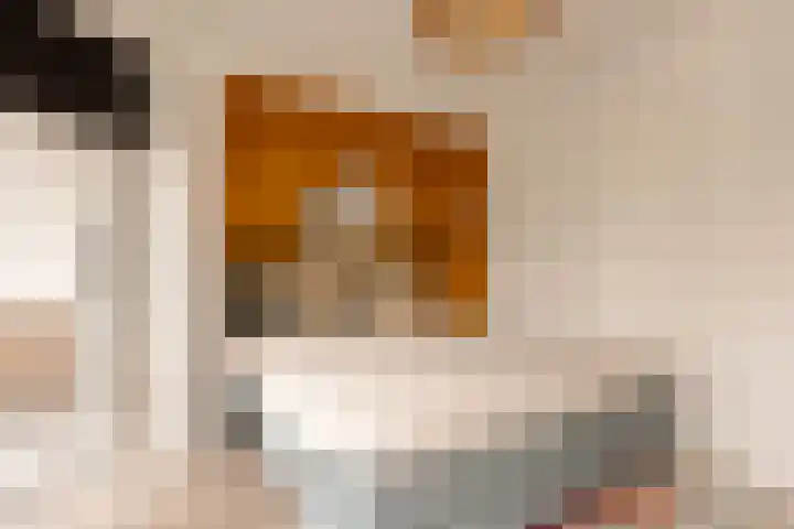 James Rosskade 2 H Amsterdam thumbnail 19