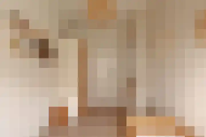 James Rosskade 2 H Amsterdam thumbnail 23