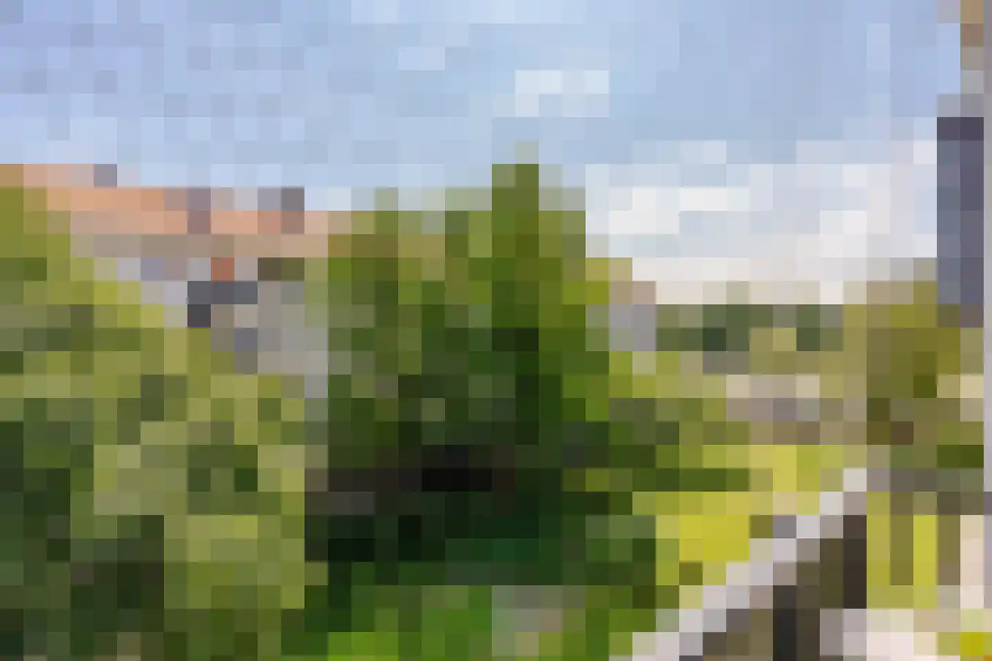 James Rosskade 6 H Amsterdam thumbnail 22