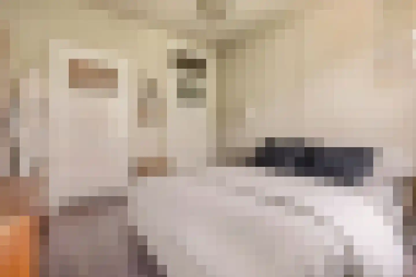 James Rosskade 6 H Amsterdam thumbnail 23
