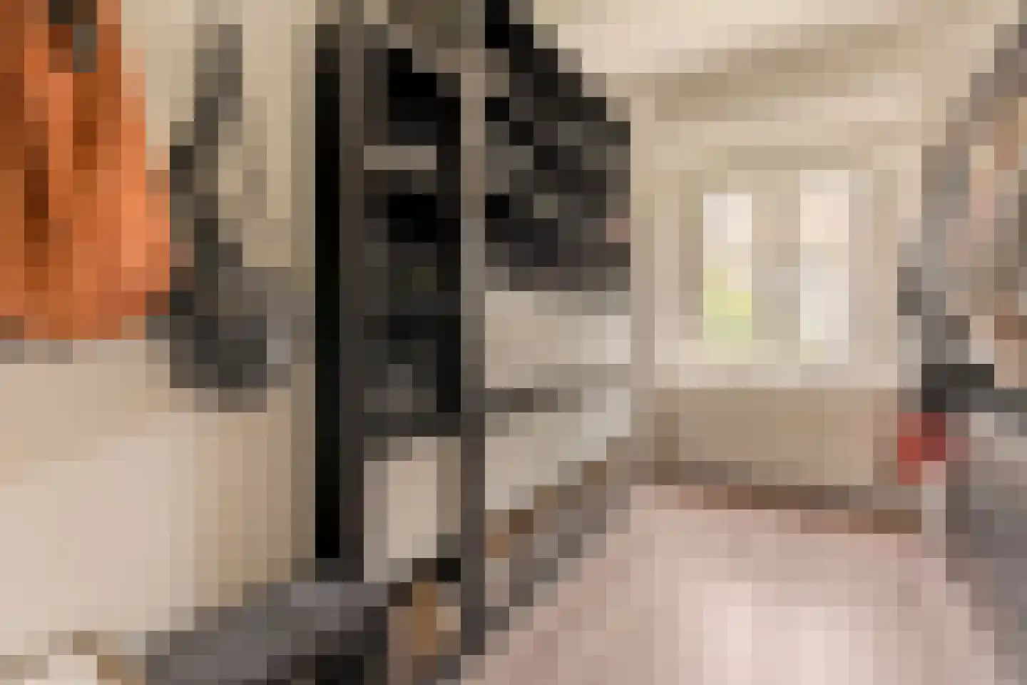 James Rosskade 6 H Amsterdam thumbnail 35