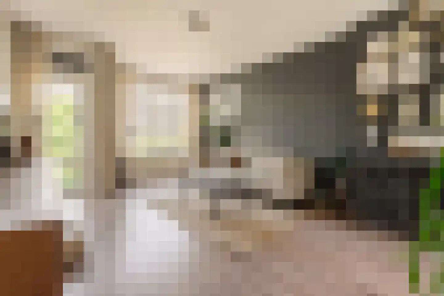 James Rosskade 6 H Amsterdam thumbnail 5