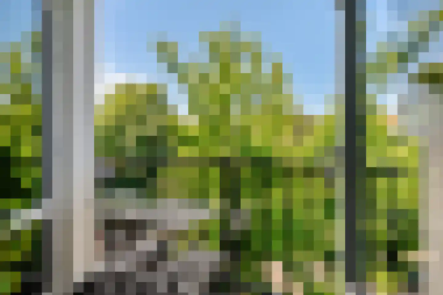 James Rosskade 6 H Amsterdam thumbnail 6