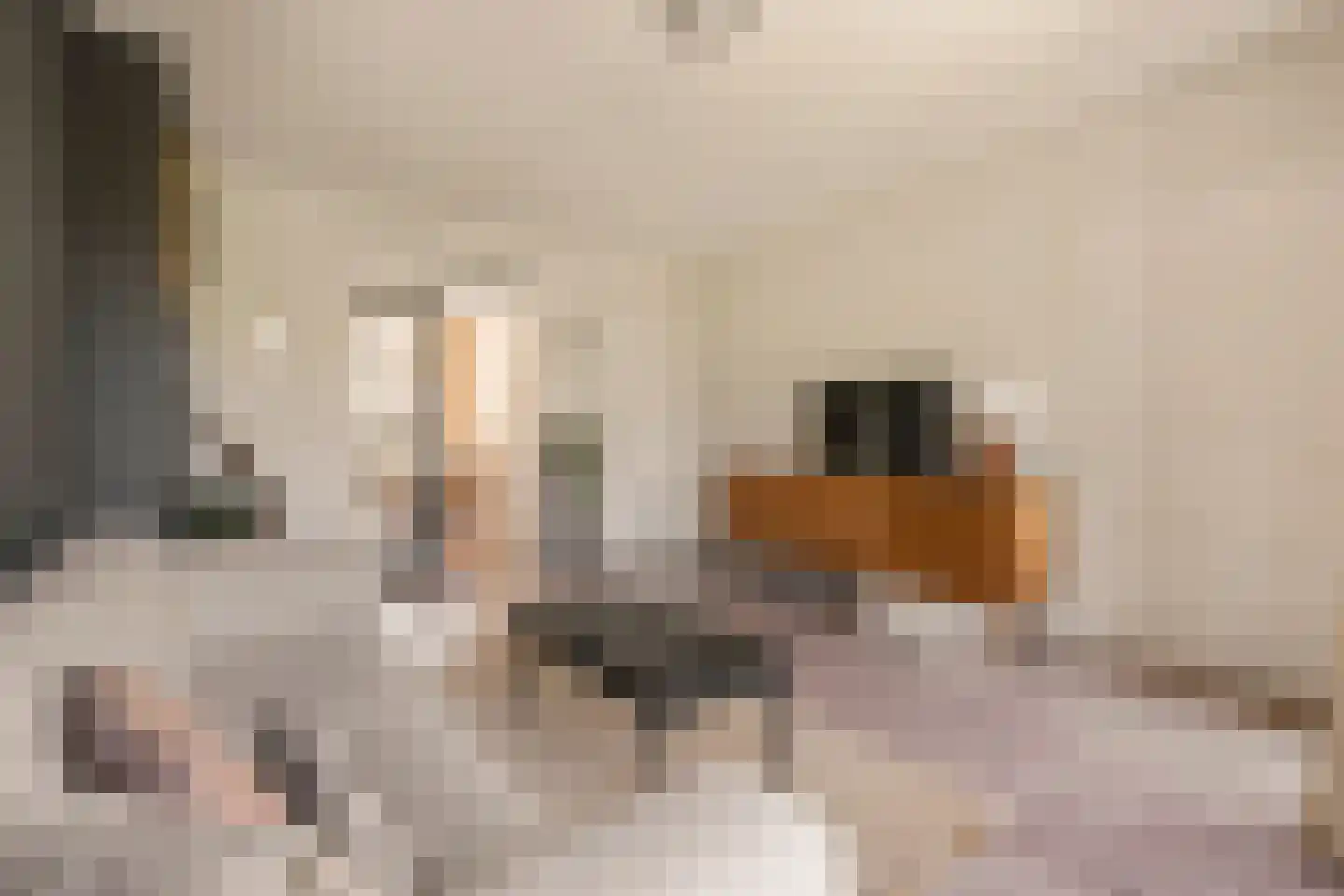 James Rosskade 6 H Amsterdam thumbnail 8