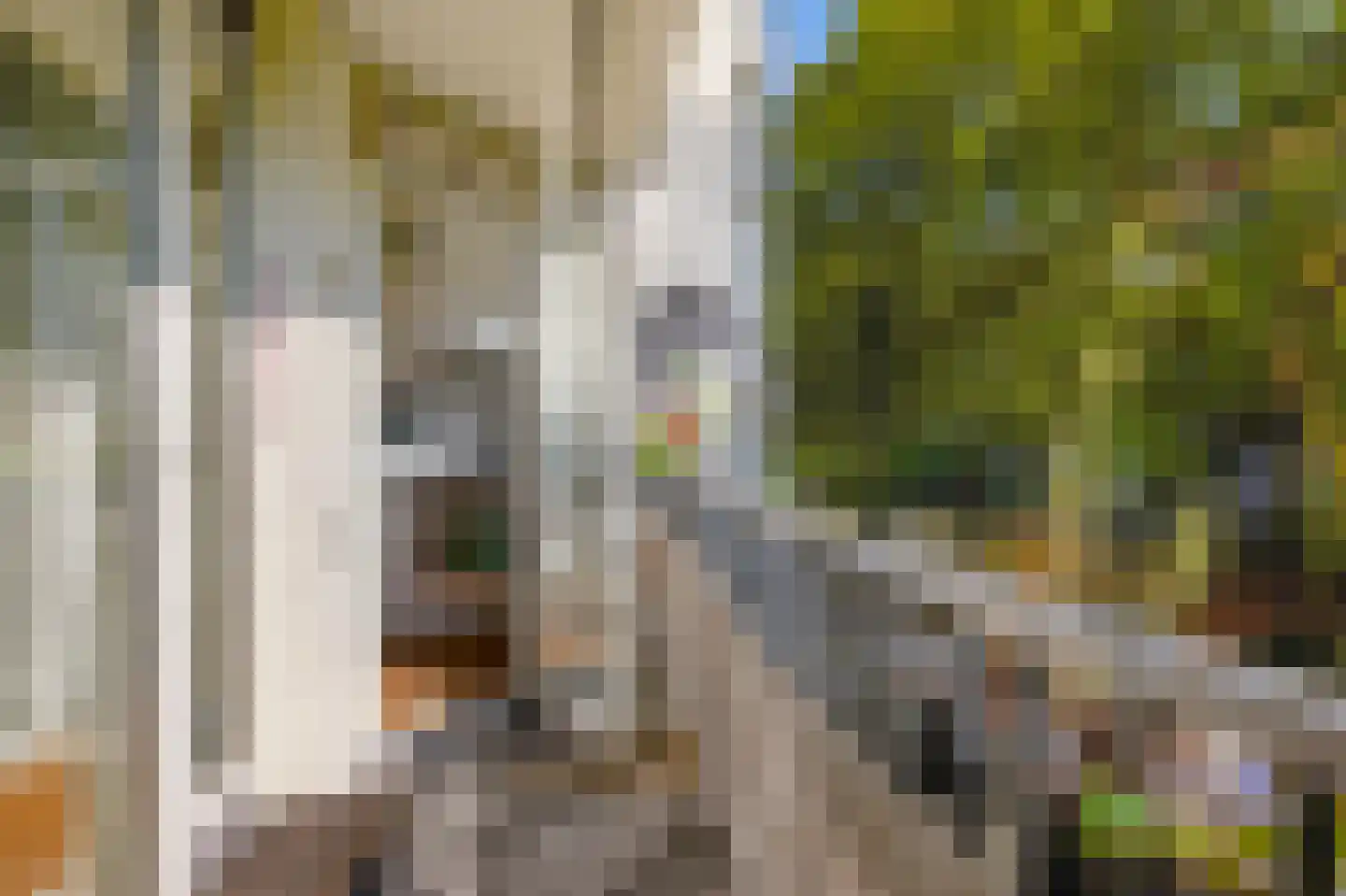 James Rosskade 7 2 Amsterdam thumbnail 19