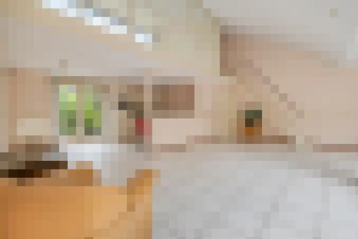 James Stewartstraat 206 Almere thumbnail 10