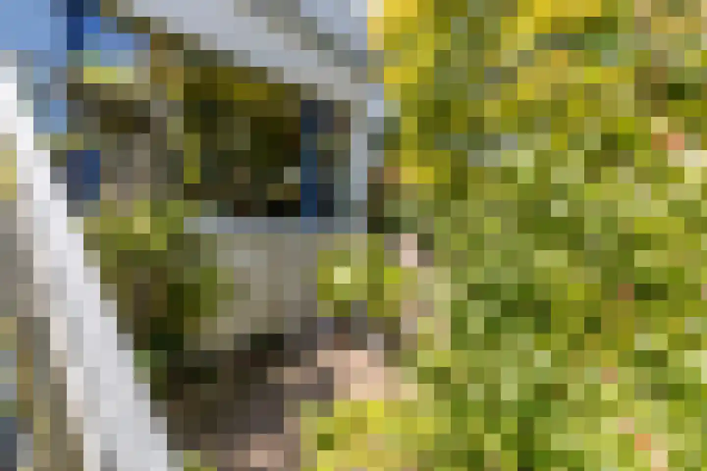 James Stewartstraat 9 Almere thumbnail 30
