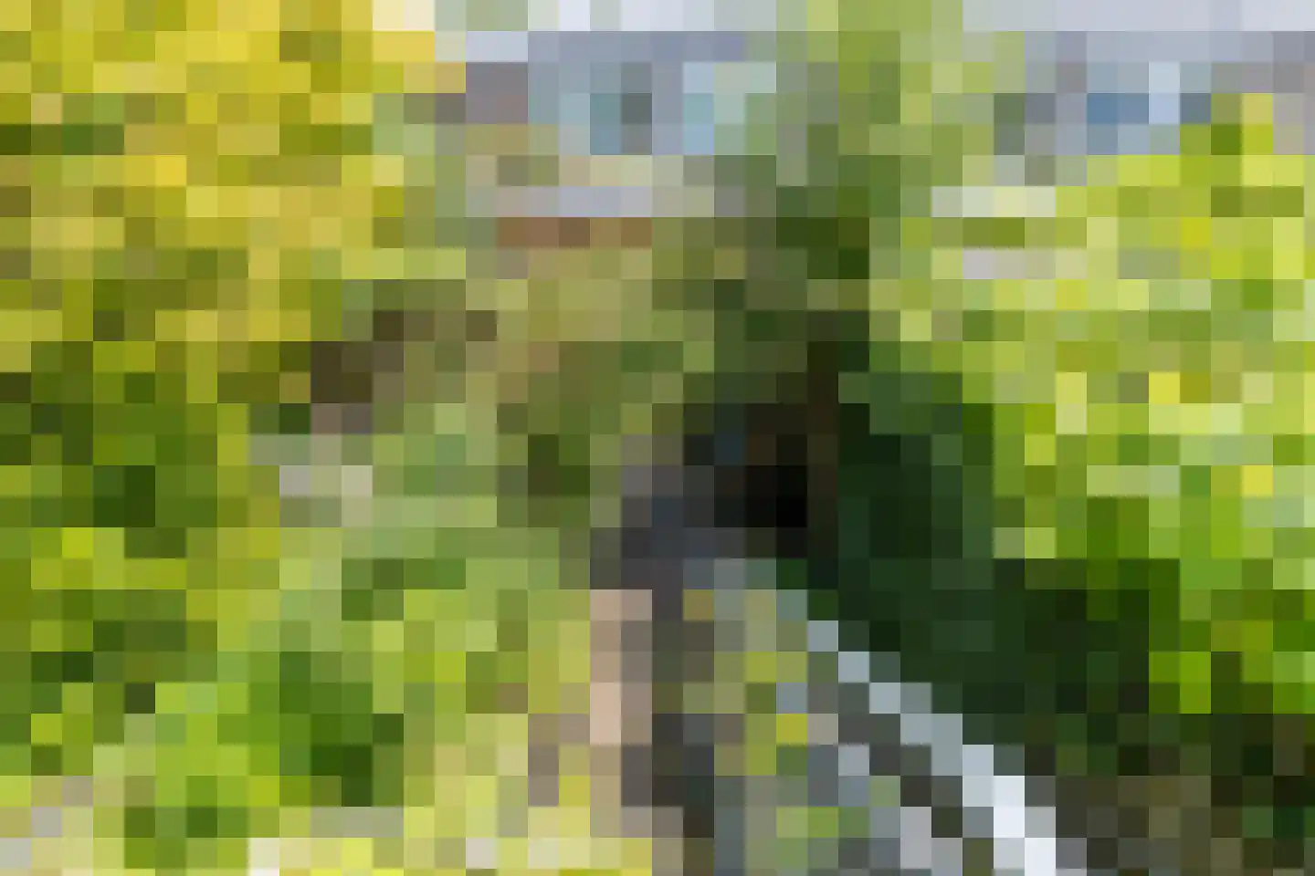 James Stewartstraat 9 Almere thumbnail 32