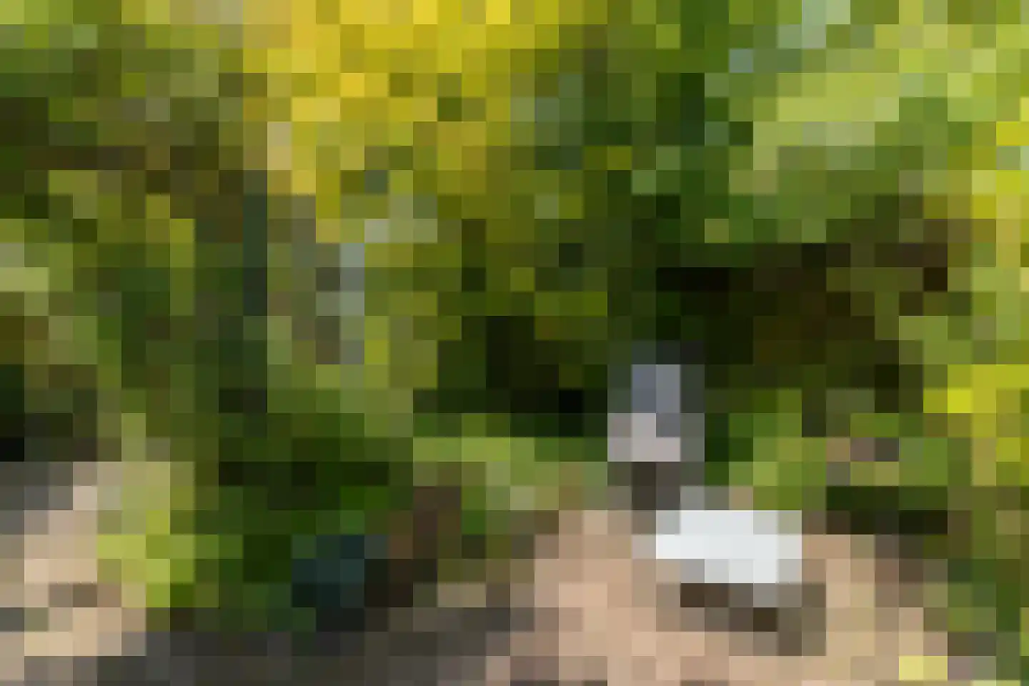 James Stewartstraat 9 Almere thumbnail 33