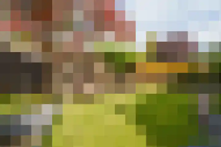 James Stewartstraat 95 Almere thumbnail 35